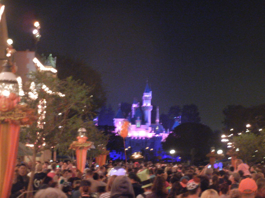 Disneyland Fireworks Picture